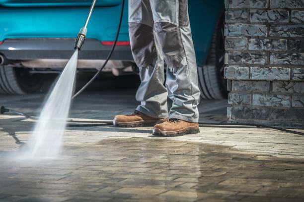 Best Building Exterior Washing  in La Vernia, TX