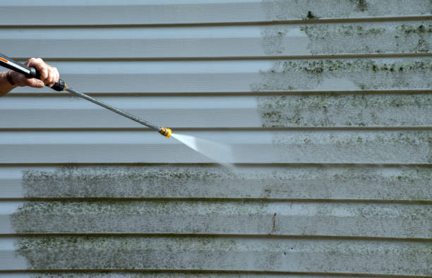 Best Dumpster Area Cleaning  in La Vernia, TX